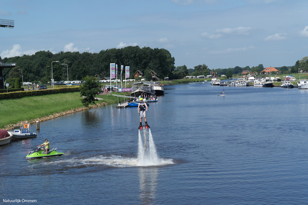 SAM_0603
