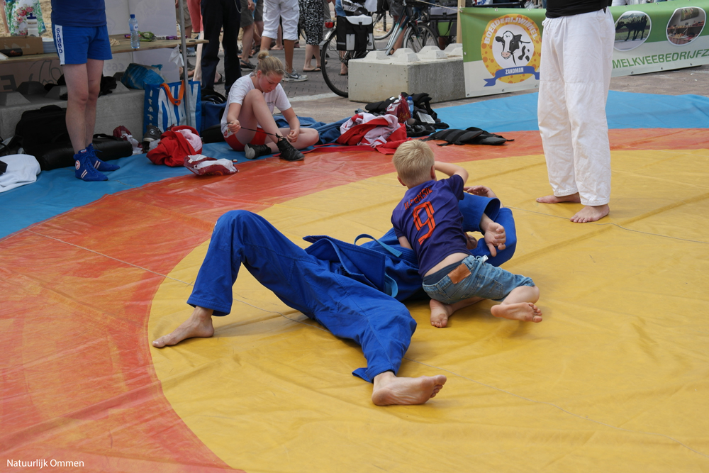 SAM_0729