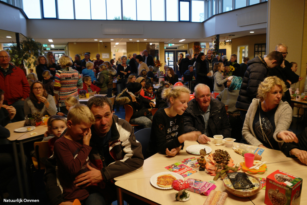 SAM_7080-het-palet-ibr-no