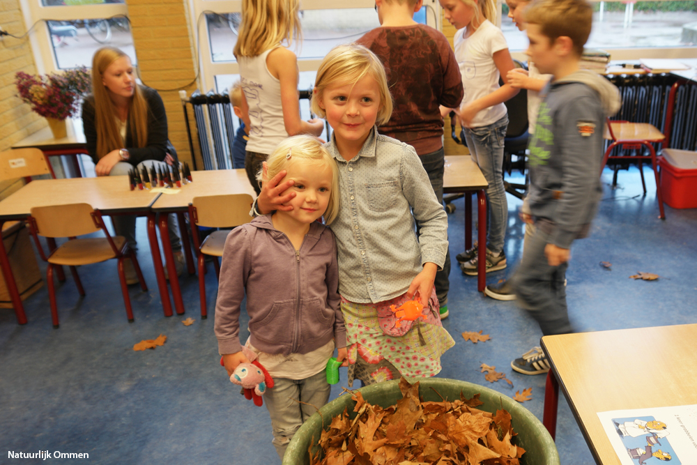 SAM_7108-het-palet-ibr-no