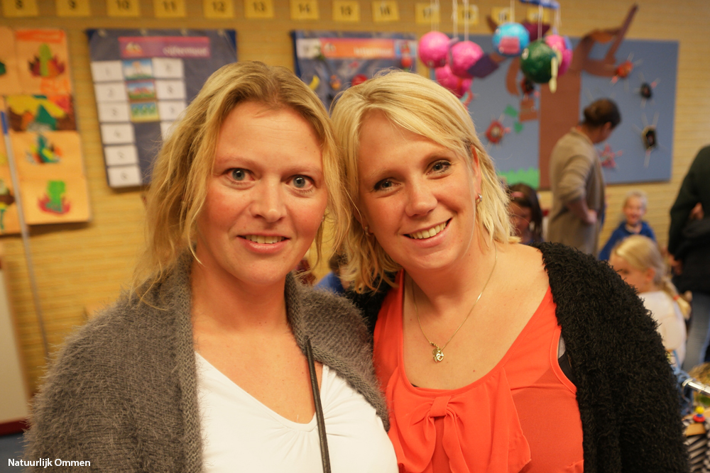 SAM_7121-het-palet-ibr-no