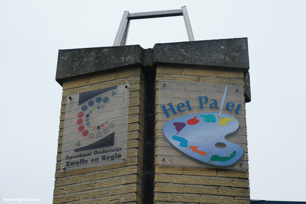 SAM_7224-het-palet-ibr-no
