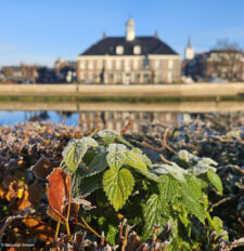 Wintervakantie in Nederland? Ommen is er rijp voor!