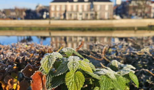 Wintervakantie in Nederland? Ommen is er rijp voor!